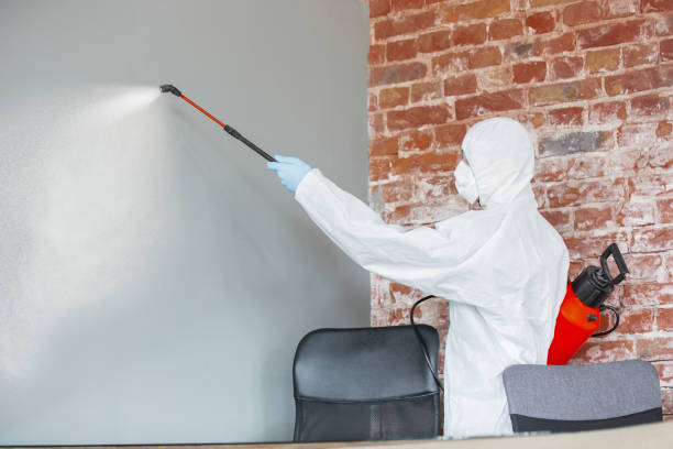 Environmental Consulting for Mold Prevention in Spencer, NC