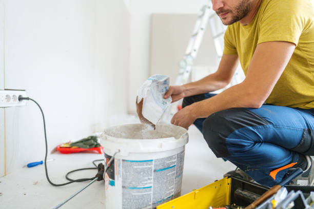 Best Post-Construction Mold Inspection  in Speer, NC