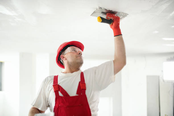 Best Attic Mold Removal  in Speer, NC